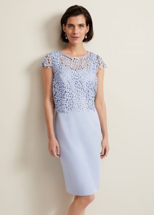 Blue Phase Eight Daisy Lace Double Layer Dress | 6574LEUKM