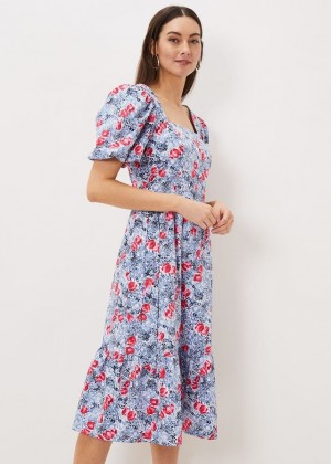 Multicolor Phase Eight Abbiana Cotton Floral Dress | 8406HNWAZ