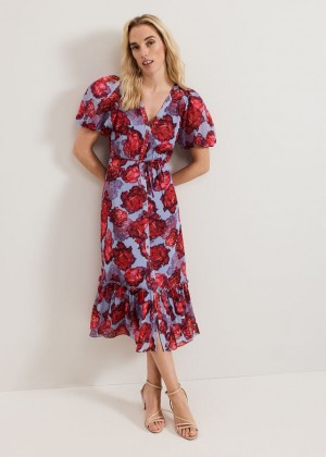 Multicolor Phase Eight Francesca Dress | 6012JXRBQ