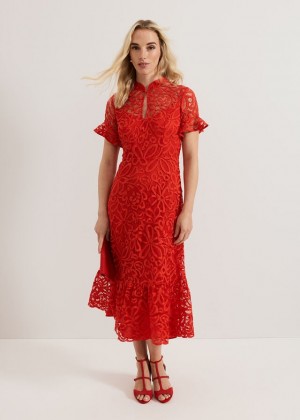 Red Phase Eight Lula Lace Dress | 5697XUMFZ