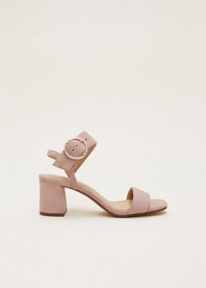 Rose Phase Eight Suede Buckleed Heels | 8912KJZGE