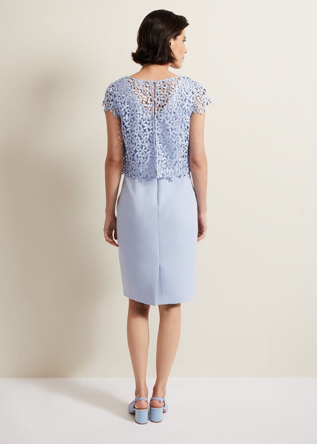 Blue Phase Eight Daisy Lace Double Layer Dress | 6574LEUKM