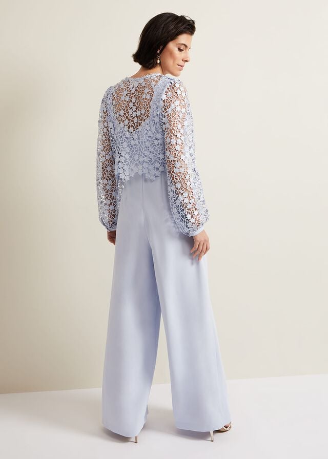 Blue Phase Eight Mariposa Lace Dress | 8706MDPNT