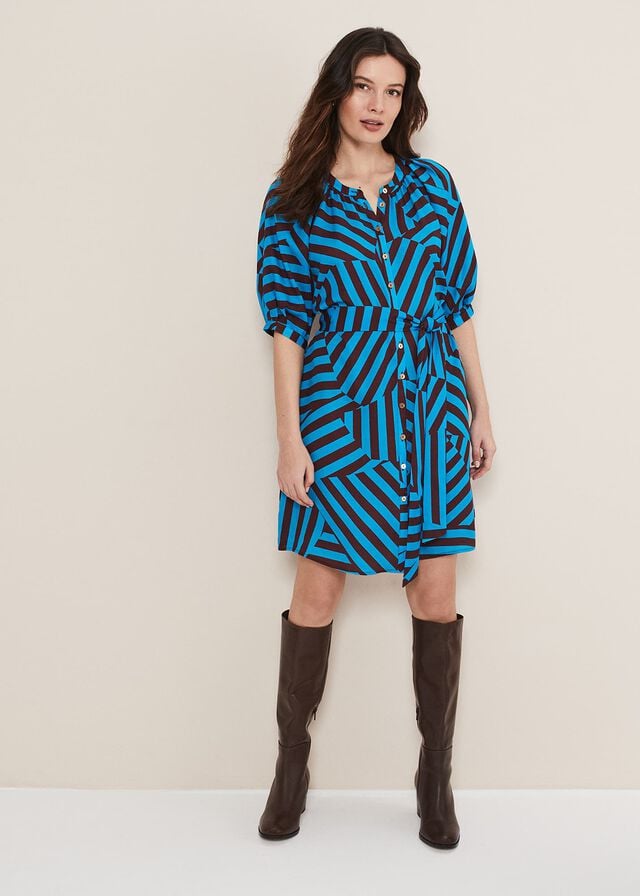Blue / Chocolate Phase Eight Rosella Striped Dress | 2986BEIRQ