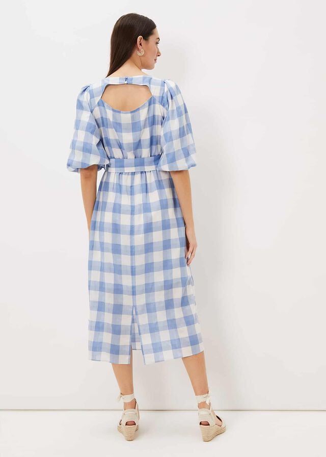 Blue / White Phase Eight Alina Check Dress | 6275JSWLH