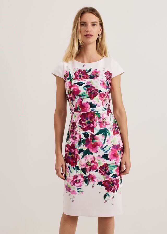 Multicolor Phase Eight Dannas Scuba Dress | 6749TNSPI