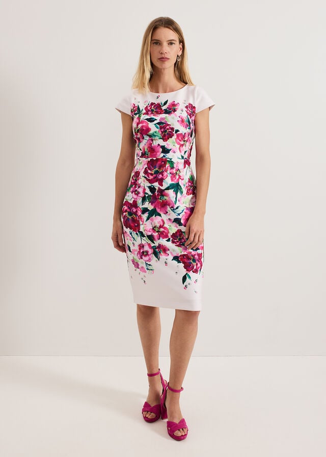 Multicolor Phase Eight Dannas Scuba Dress | 6749TNSPI