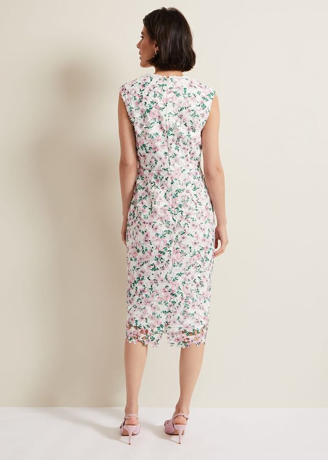 Multicolor Phase Eight Diana Floral Lace Dress | 0834UXEOY