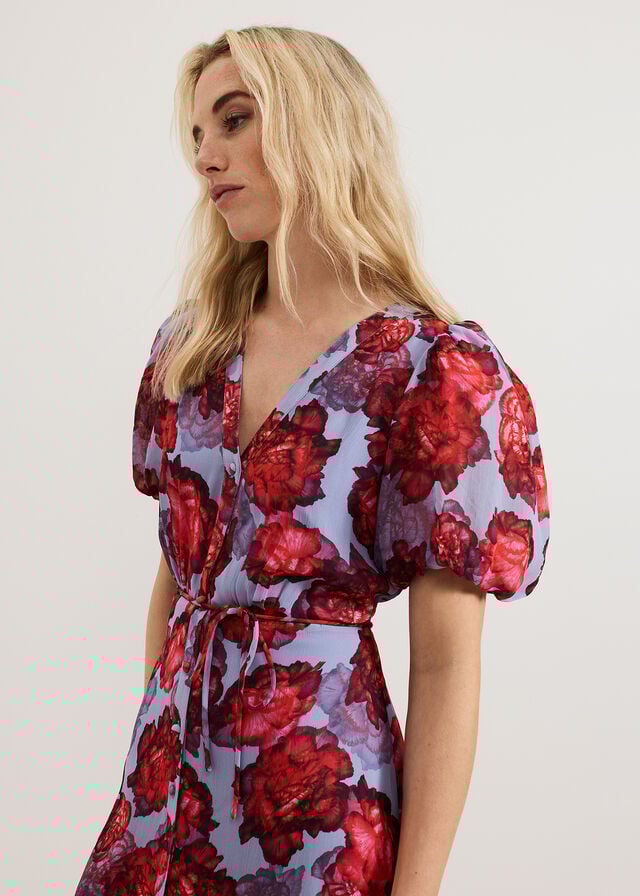 Multicolor Phase Eight Francesca Dress | 6012JXRBQ