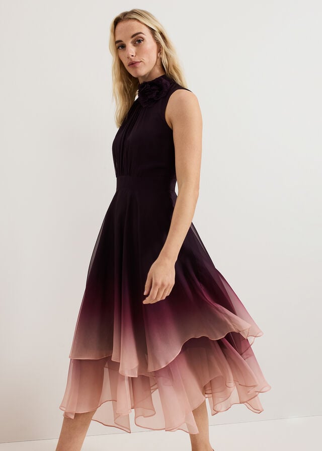 Multicolor Phase Eight Maybel Ombre Dress | 6410LZVEP