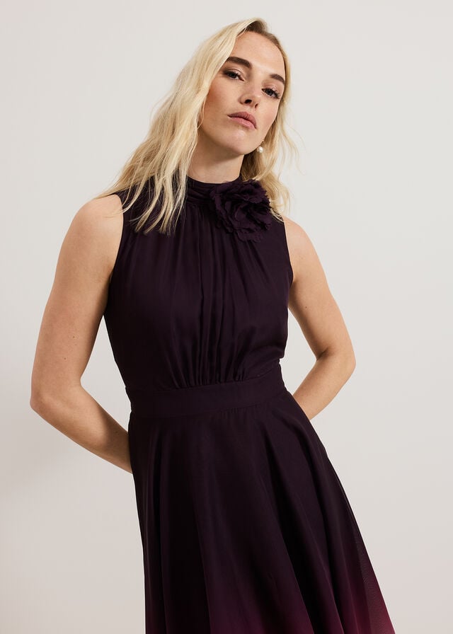 Multicolor Phase Eight Maybel Ombre Dress | 6410LZVEP