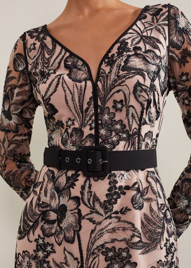 Multicolor Phase Eight Nola V-Neck Embroidered Dress | 8510ERFPS