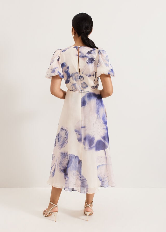 Multicolor Phase Eight Petite Lizzie Dress | 6582MXWEF