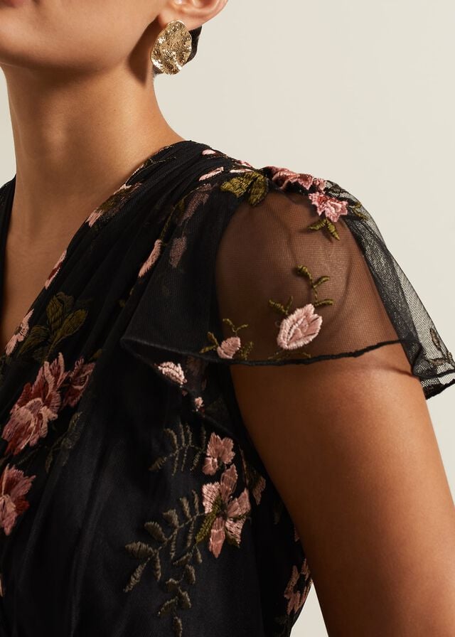 Multicolor Phase Eight Tamera Mesh Embroidered Dress | 0392RYSKT
