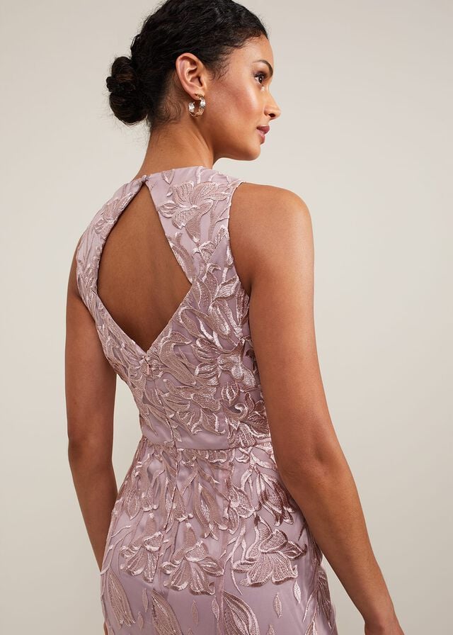 Pink Phase Eight Jaclyn Embroidered Dress | 3679EWMCK