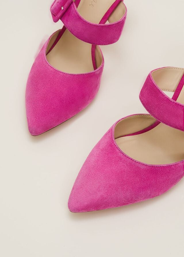 Pink Phase Eight Suede Buckle Backless Heels | 5397SPLFH